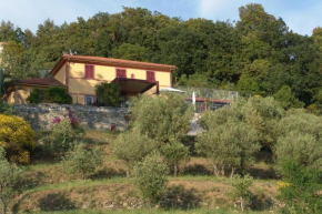 Luxury Easy Living in Framura Framura